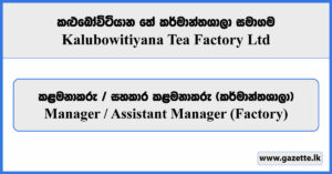 Manager / Assistant Manager (Factory) - Kalubowitiyana Tea Factory Limited Vacancies 2026