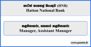 Manager, Assistant Manager - Hatton National Bank Vacancies 2026