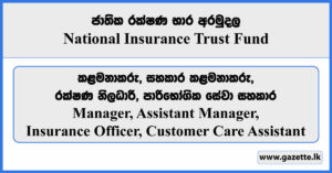 Manager, Assistant Manager, Insurance Officer, Customer Care Assistant - National Insurance Trust Fund Vacancies 2024