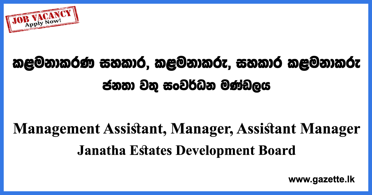 Management Assistant, Manager, Assistant Manager