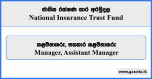 Manager, Assistant Manager - National Insurance Trust Fund Vacancies 2023