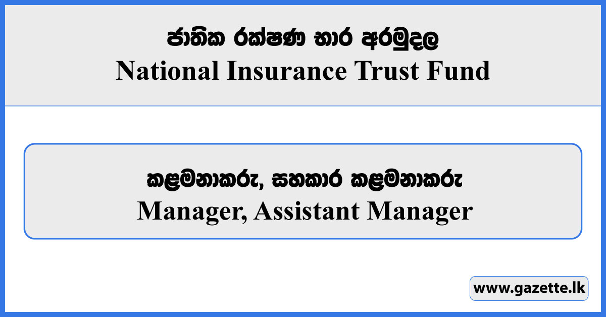 Manager, Assistant Manager - National Insurance Trust Fund Vacancies 2023