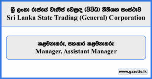 Manager, Assistant Manager - State Trading Corporation Vacancies 2025