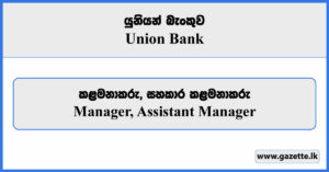 Manager, Assistant Manager - Union Bank Vacancies 2024