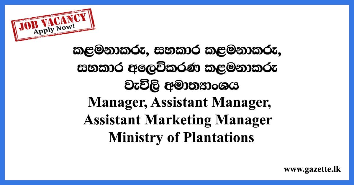 Manager, Assistant Manager, Assistant Marketing Manager – Ministry of Plantations