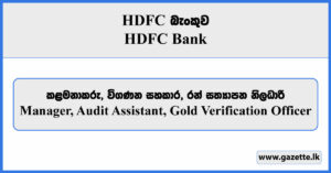 Manager, Audit Assistant, Gold Verification Officer - HDFC Bank Vacancies 2024