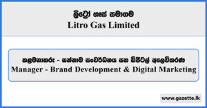 Manager (Brand Development & Digital Marketing) - Litro Gas Limited Vacancies 2026