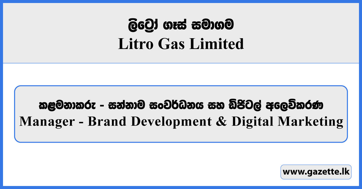 Manager (Brand Development & Digital Marketing) - Litro Gas Limited Vacancies 2026