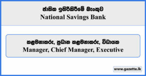 Manager, Chief Manager, Executive - National Savings Bank Vacancies 2023