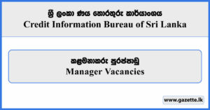 Manager (Data Protection & Governance) - CRIB Vacancies 2025