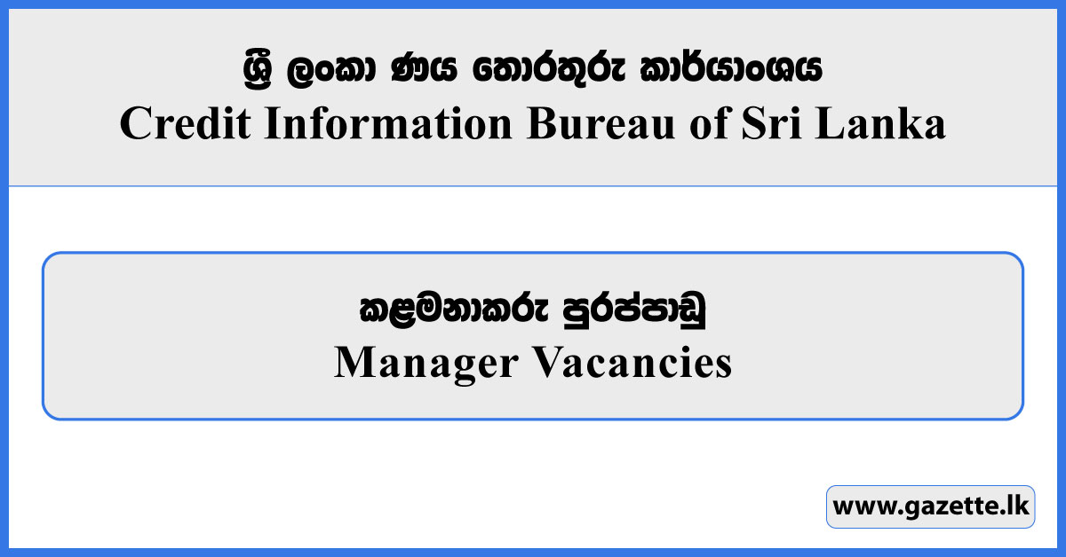 Manager (Data Protection & Governance) - CRIB Vacancies 2025
