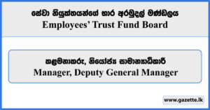 Manager, Deputy General Manager - Employees' Trust Fund Board Vacancies 2023