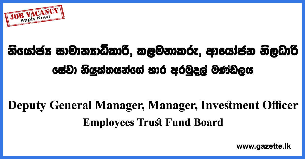 Deputy General Manager, Manager, Investment Officer