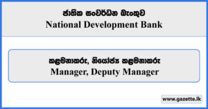 Manager, Deputy Manager - National Development Bank Vacancies 2023