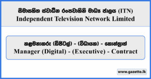 Manager (Digital) - Independent Television Network Limited Vacancies 2025