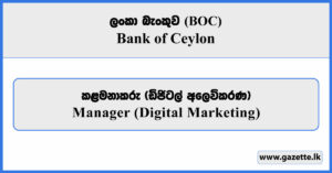 Manager (Digital Marketing) - Bank of Ceylon (BOC) Vacancies 2025
