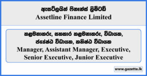 Manager, Assistant Manager, Executive, Senior Executive - Assetline Finance Limited Vacancies 2024