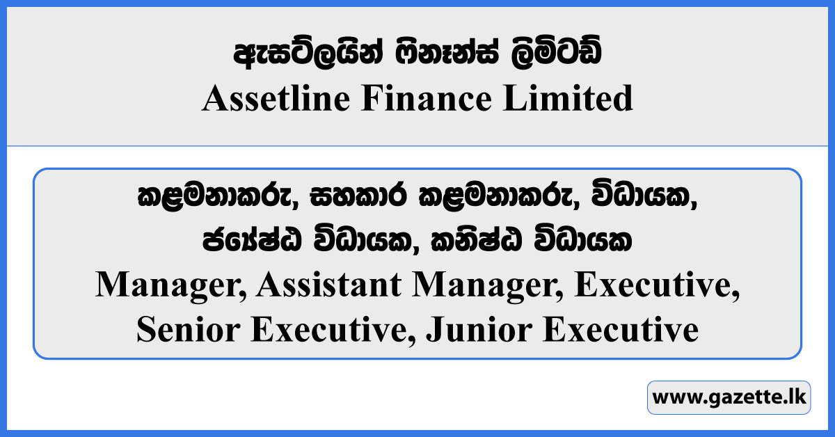 Manager, Assistant Manager, Executive, Senior Executive - Assetline Finance Limited Vacancies 2024