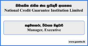 Manager, Executive - National Credit Guarantee Institution Limited Vacancies 2025