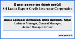 Assistant Manager, General Manager, Driver - Sri Lanka Export Credit Insurance Corporation Vacancies 2024