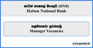 Manager - HNB Vacancies 2026