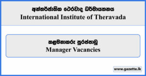 Manager - International Institute of Theravada Vacancies 2024