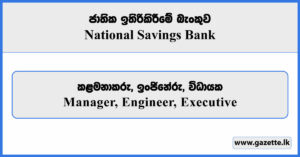 Manager, Engineer, Executive - NSB Vacancies 2025