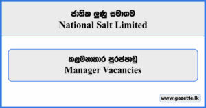 Manager - National Salt Limited Vacancies 2024
