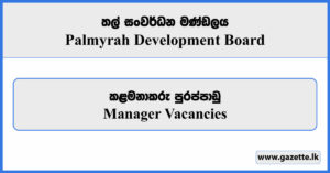 Manager - Palmyrah Development Board Vacancies 2024