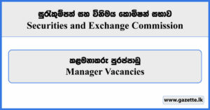 Manager - Securities and Exchange Commission Vacancies 2024