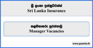 Manager - Sri Lanka Insurance Vacancies 2024