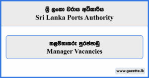 Manager - Sri Lanka Ports Authority Vacancies 2024