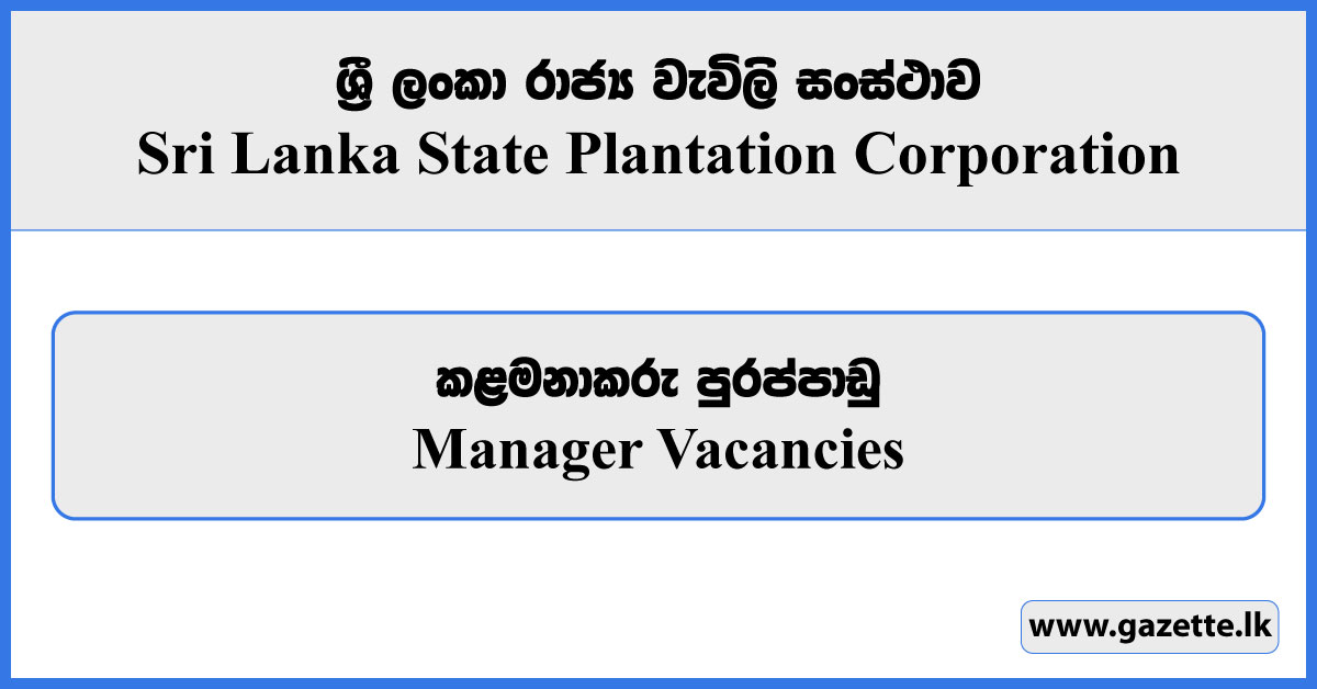 Manager - Sri Lanka State Plantation Corporation Vacancies 2024