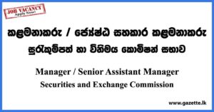 Manager/ Senior Assistant Manager - Securities and Exchange Commission Vacancies 2023