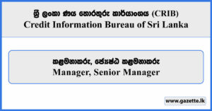 Manager, Senior Manager - Credit Information Bureau of Sri Lanka Vacancies 2025