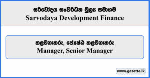 Manager, Senior Manager - Sarvodaya Development Finance Vacancies 2024