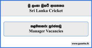 Manager - Sri Lanka Cricket Vacancies 2023