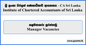 Manager - CA Sri Lanka Vacancies 2025