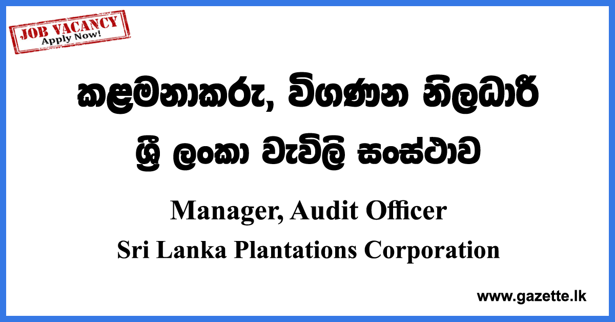 Manager, Audit Officer