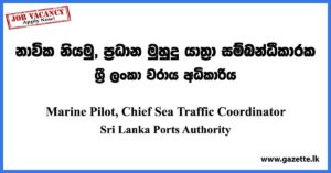 Marine Pilot, Chief Sea Traffic Coordinator - Sri Lanka Ports Authority Vacancies 2023
