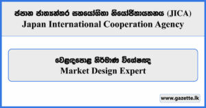 Market Design Expert - JICA Vacancies 2026
