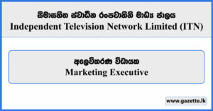 Marketing Executive - Independent Television Network Limited Vacancies 2025