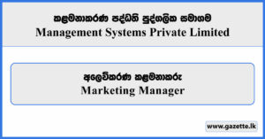 Marketing Manager - Management Systems Private Limited Vacancies 2025