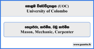 Mason, Mechanic, Carpenter - University of Colombo Vacancies 2026