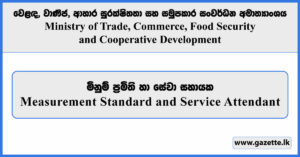 Measurement Standard and Service Attendant - Ministry of Trade, Commerce, Food Security & Cooperative Development Vacancies 2025
