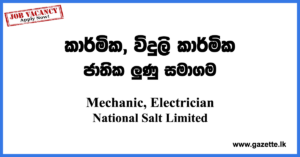 Mechanic,-Electrician-National-Salt-Limited-www.gazette.lk
