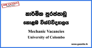 Mechanic Vacancies