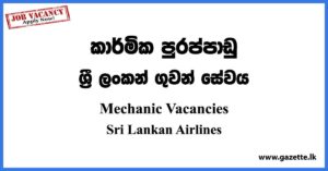 Mechanic Vacancies