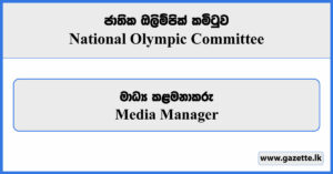Media Manager - National Olympic Committee Vacancies 2024