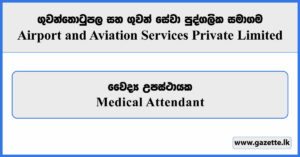 Medical Attendant - Airport and Aviation Services Private Limited Vacancies 2025